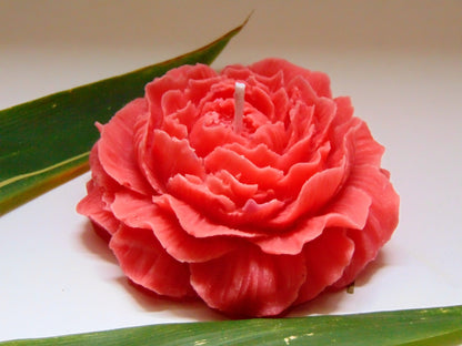 Peony Candle