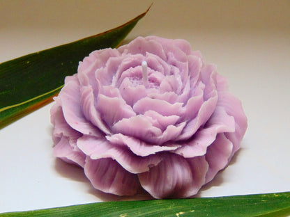 Peony Candle