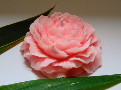 Peony Candle